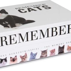 Remember - Remember Memory Spel Cats