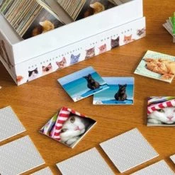 Remember - Remember Memory Spel Cats -kinderspellen Winkel 550x309 43