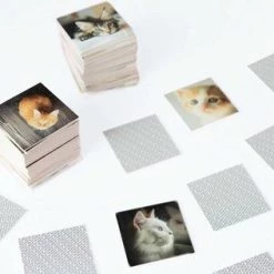 Remember - Remember Memory Spel Cats -kinderspellen Winkel 550x316 3