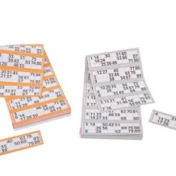 Longfield Darts BINGO/LOTTO SCOREBLOCK - 10 X 600 SHEETS -kinderspellen Winkel 550x365 9