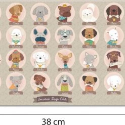 APLI Kids Wie Is Wie Spel 9 APLI Kids Wie Is Wie Spel -kinderspellen Winkel 550x375