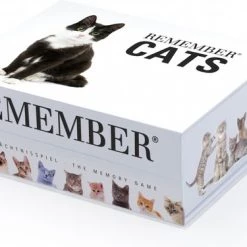 Remember - Remember Memory Spel Cats -kinderspellen Winkel 550x375 6
