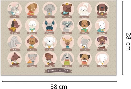 APLI Kids Wie Is Wie Spel 5 APLI Kids Wie Is Wie Spel - Afbeelding 5