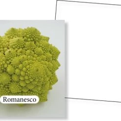 Huurdies Cadeautip! Groenten Memory - Educatief Memoryspel - Groentes Memory Spel - 70 Stuks - Schoencadeautjes Sinterklaas -kinderspellen Winkel 550x386 3