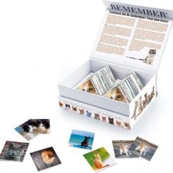 Remember - Remember Memory Spel Cats -kinderspellen Winkel 550x538 5
