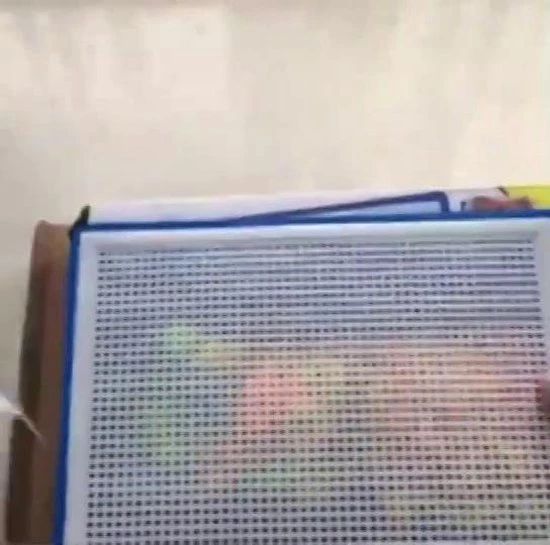 Merkloos Educatief Speelgoed - Moza Eksetje - Mushroom Nail Puzzle - Button Art Speelgoed Creatief - Draagbaar Voor Jongens & Meisjes - Verjaardagscadeaus Of Feestartikelen - 3D-puzzels Educatief Speelgoed Paddenstoel Sierstenen - Unisex 3 - 14 Jaar 2 Merkloos Educatief Speelgoed - Moza Eksetje - Mushroom Nail Puzzle - Button Art Speelgoed Creatief - Draagbaar Voor Jongens & Meisjes - Verjaardagscadeaus Of Feestartikelen - 3D-puzzels Educatief Speelgoed Paddenstoel Sierstenen - Unisex 3 - 14 Jaar - Afbeelding 2